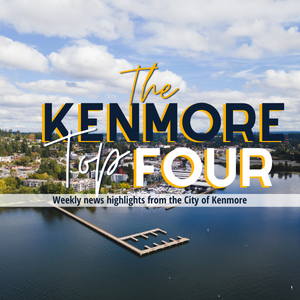 Kenmore Top 4