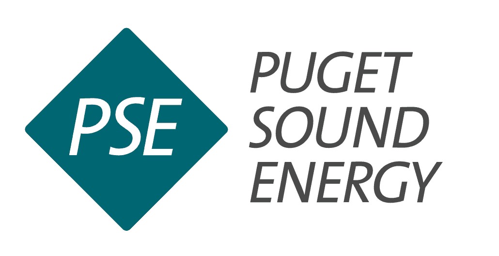 PSE Logo