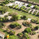 Aerial View of Bastyr herb garden