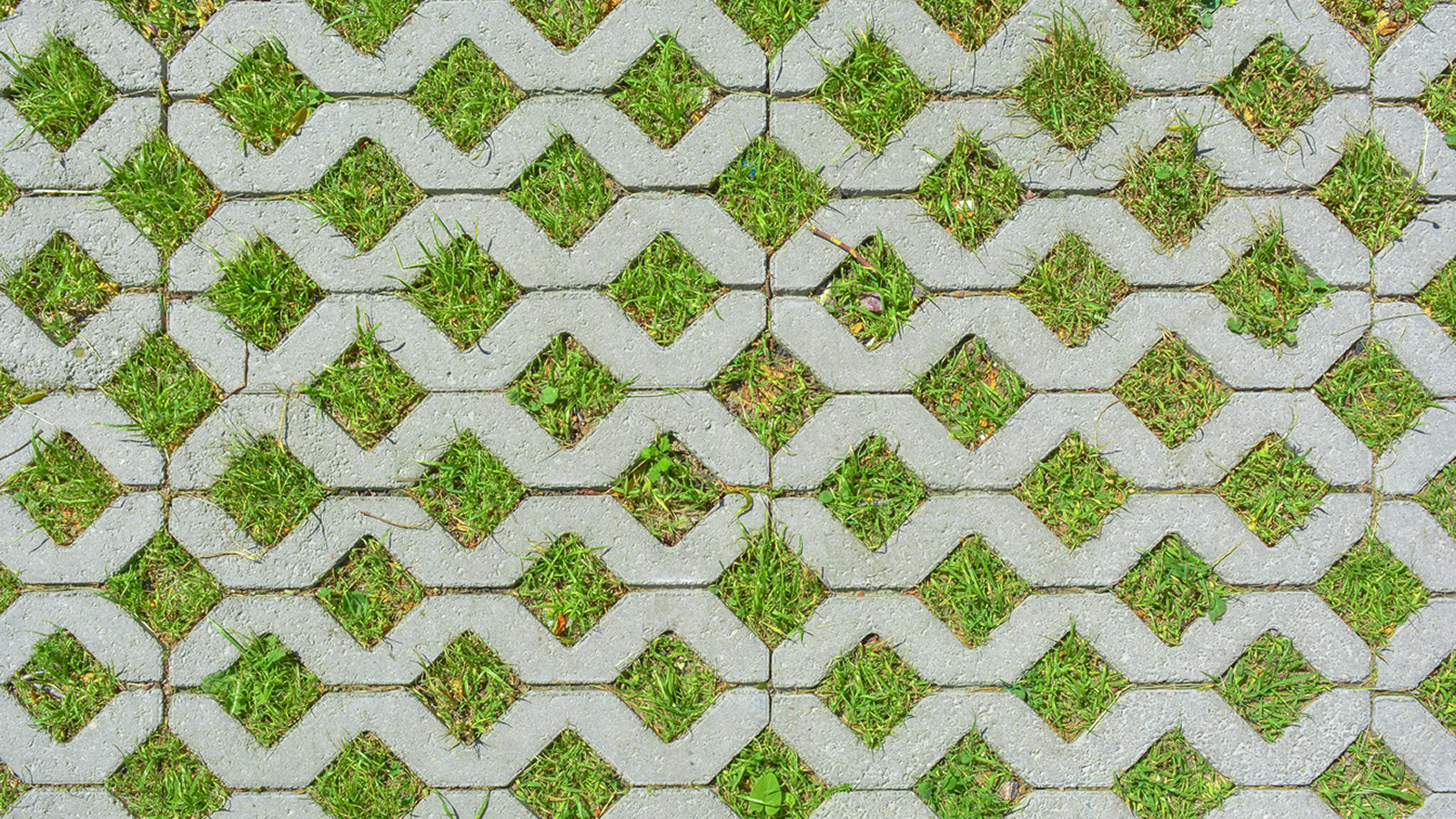 Kenmore Climate News